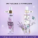 Nykaa Wanderlust French Lavender Fine Fragrance Mist5.webp