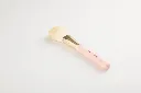 pastelbeauty brush set4.webp