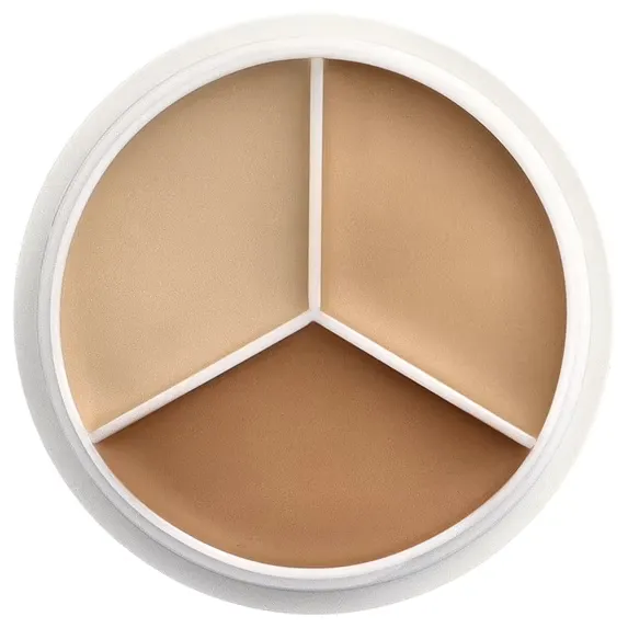 Tfit Cover Up Pro Concealer 5g - Neutral(01)